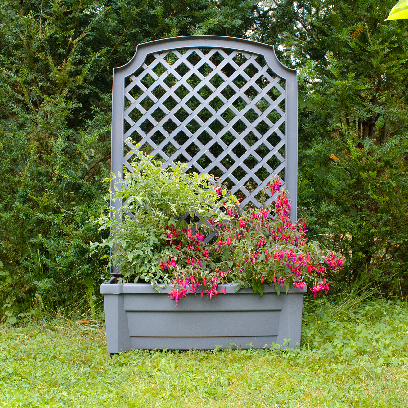 Pflanzkasten "Calypso" mit Bewässerungssystem, Spalier und Rollen