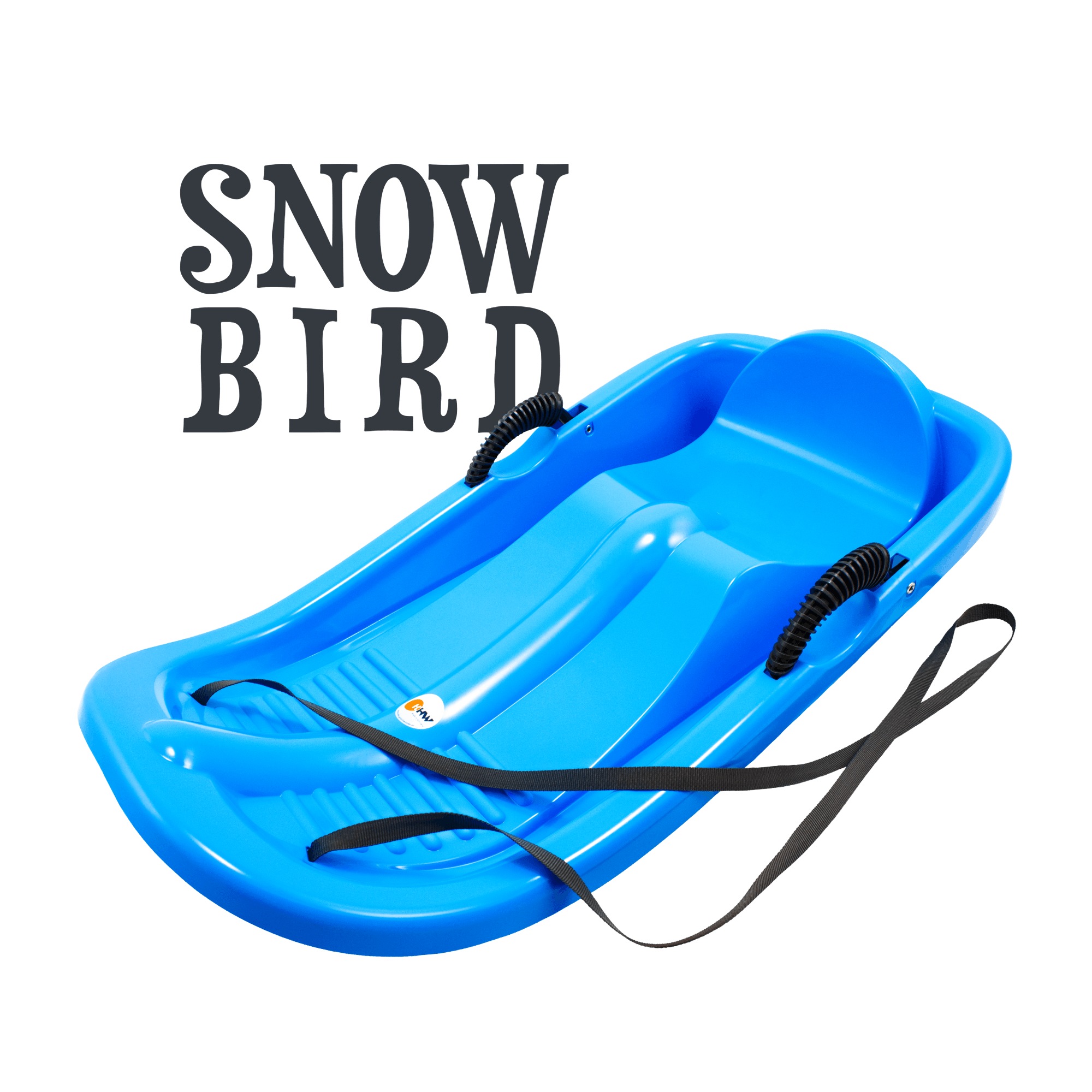Snow Bird